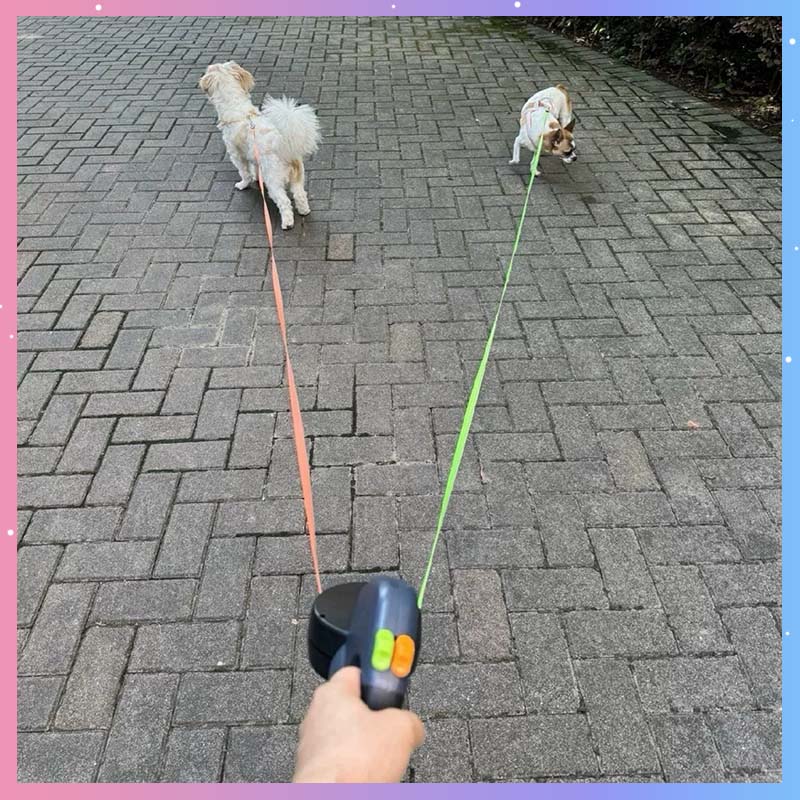 ControlPaws™ Walker